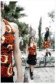 Collection 2010